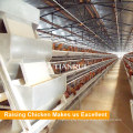 A Type Galvanized Automatic Poultry Raising Equipment for Layer